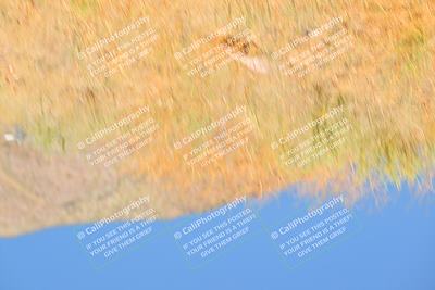 media/May-10-2025-Cobra Club (Sat) [[7b9c5022b1]]/Passenger/